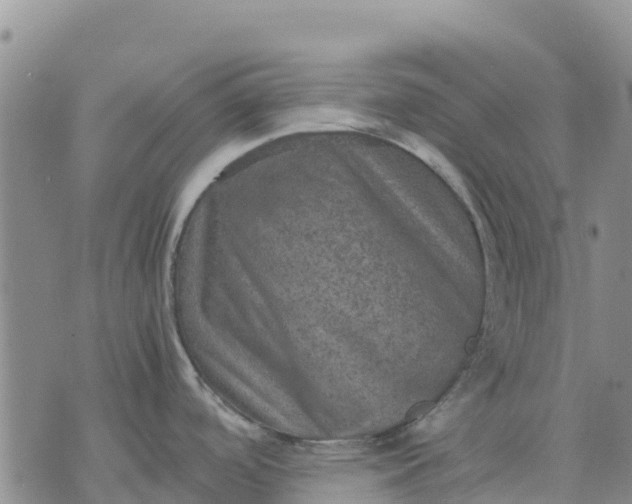 X0000071861488200607141802