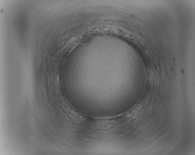 X0000071861489200607141802