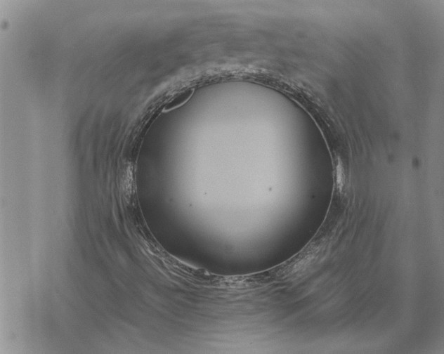 X0000071861492200607141802