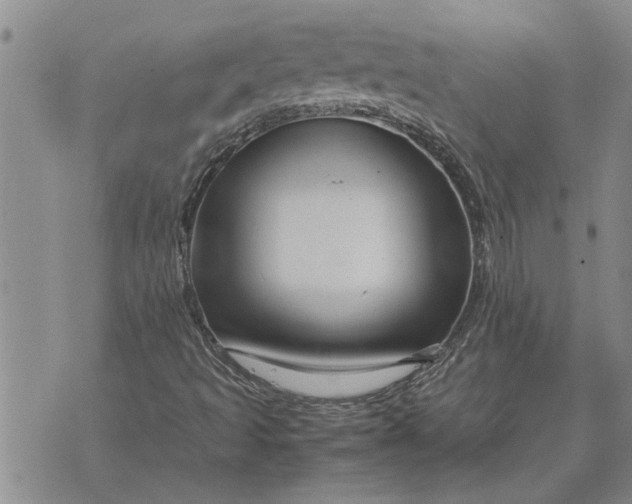 X0000071861493200607141802