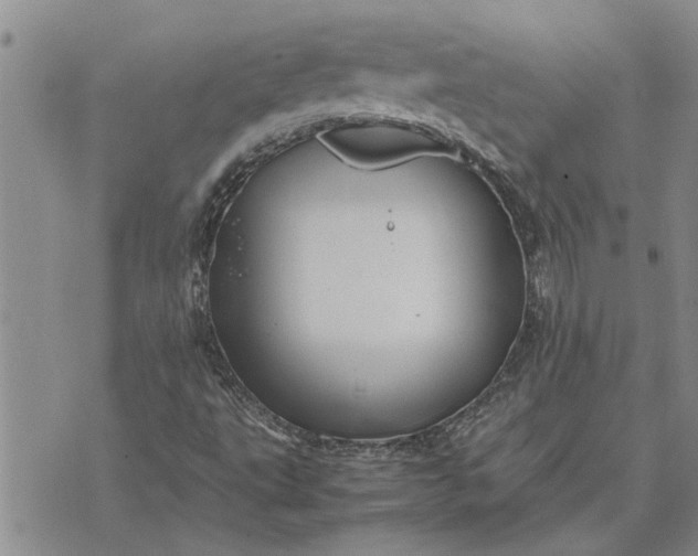 X0000071861495200607141802