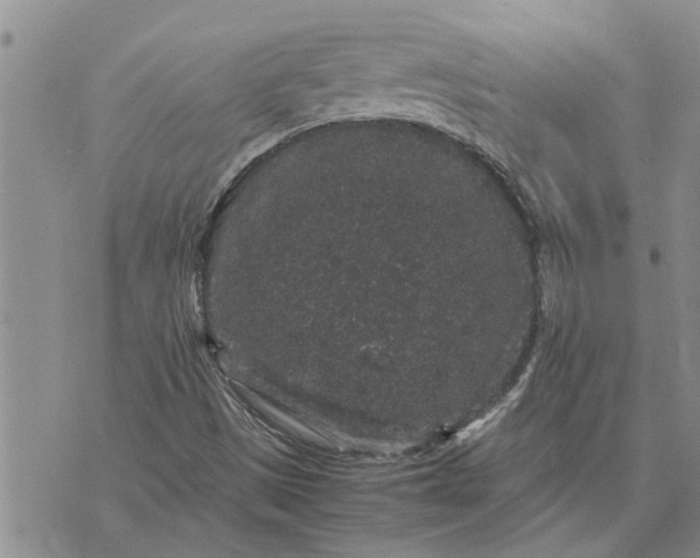 X0000071861497200607141802