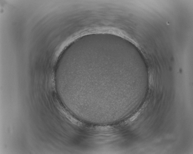 X0000071861498200607141802