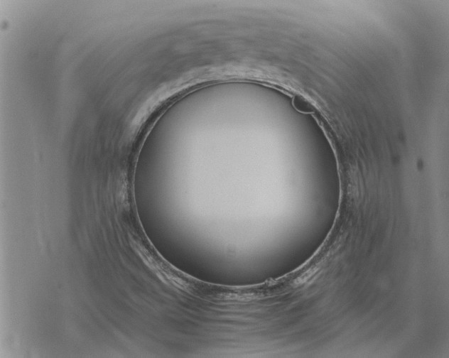 X0000071861499200607141802