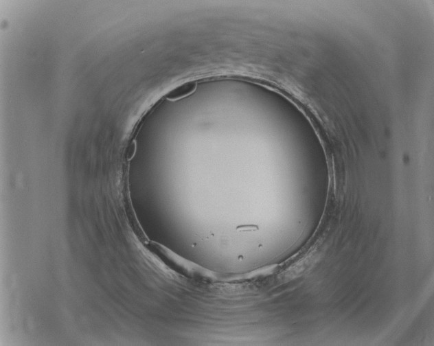 X0000071861500200607141802