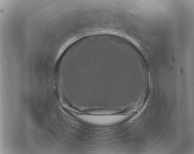 X0000071861501200607141802