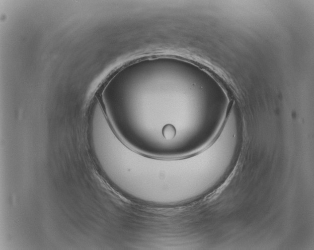 X0000071861502200607141802