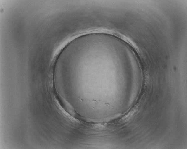 X0000071861504200607141802