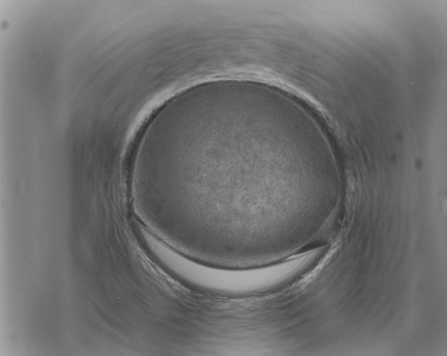 X0000071861506200607141802