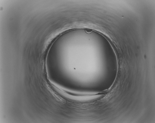 X0000071861507200607141802