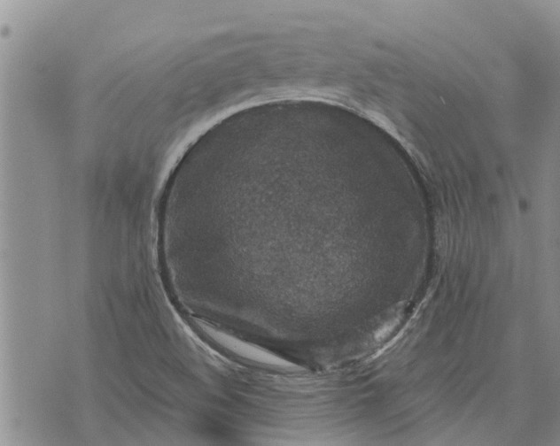 X0000071861508200607141802