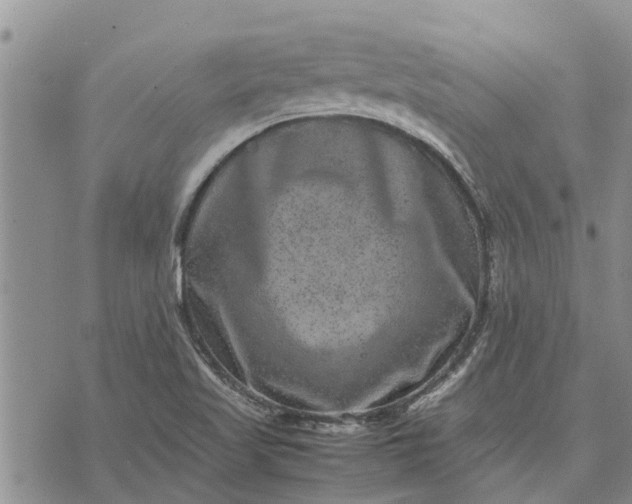 X0000071861509200607141802