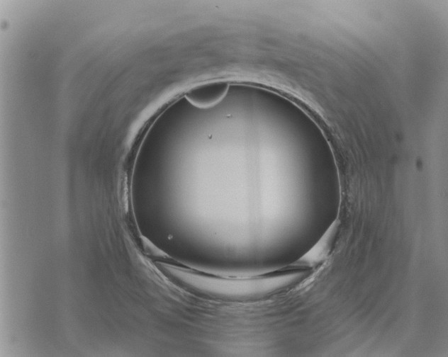 X0000071861510200607141802