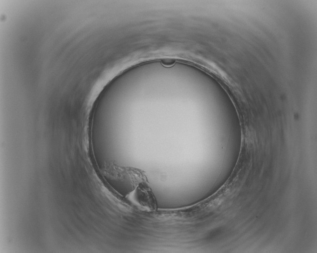 X0000071861512200607141802