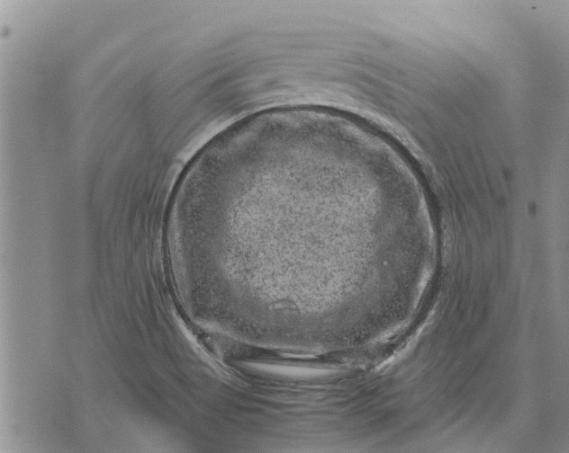 X0000071861513200607141802