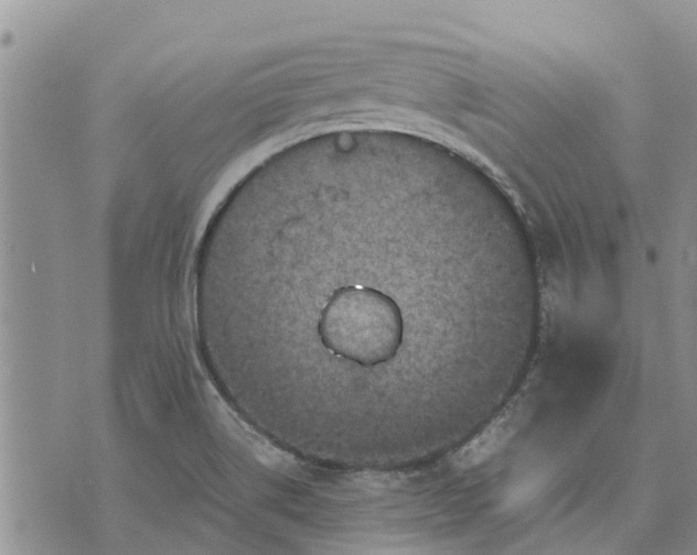 X0000071861514200607141802