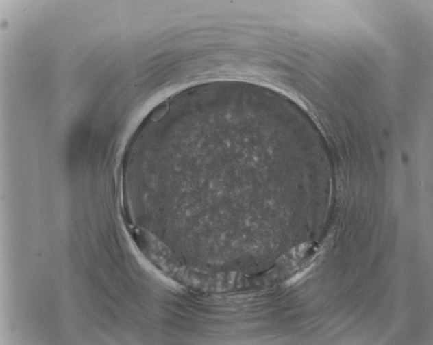 X0000071861515200607141802