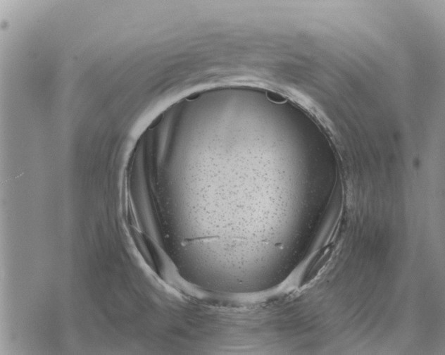 X0000071861520200607141802