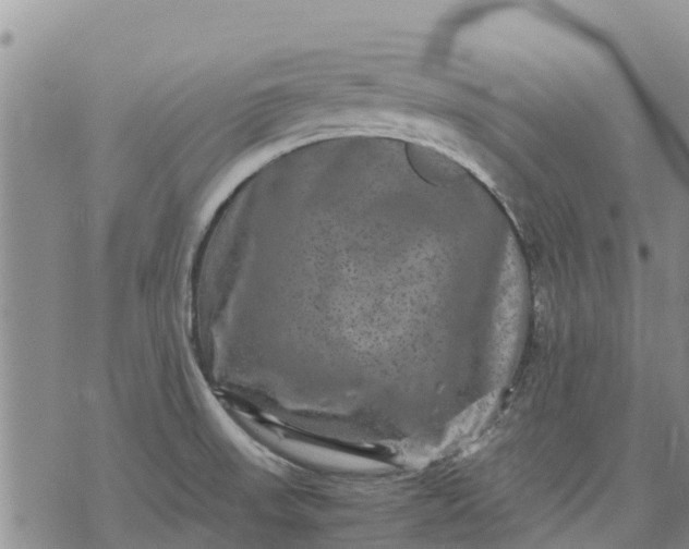 X0000071861523200607141802