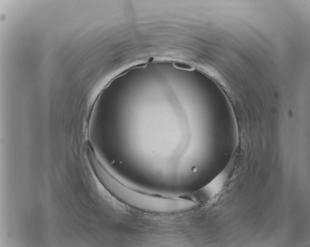 X0000071861524200607141802