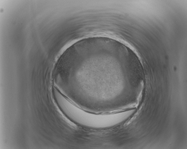 X0000071861525200607141802