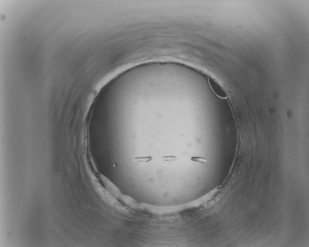 X0000071861526200607141802