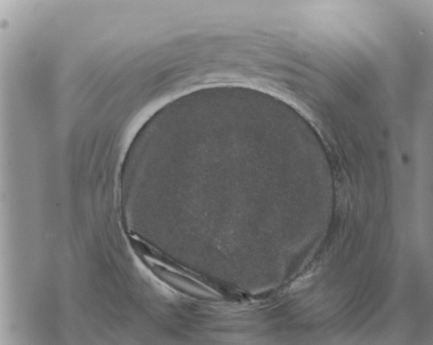 X0000071861527200607141802