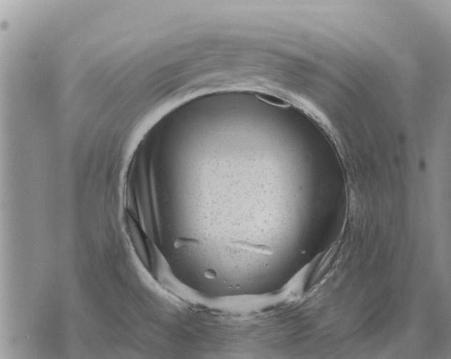 X0000071861528200607141802