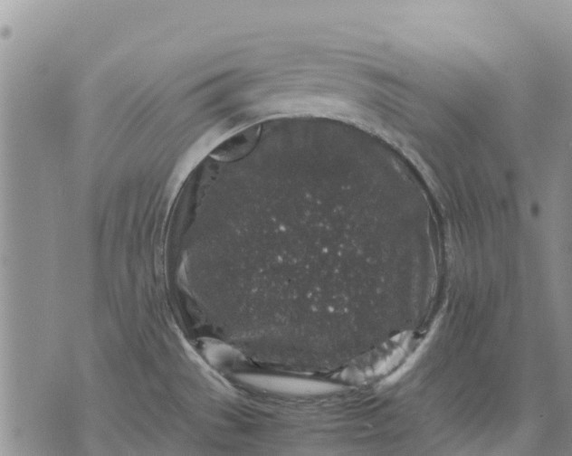 X0000071861529200607141802