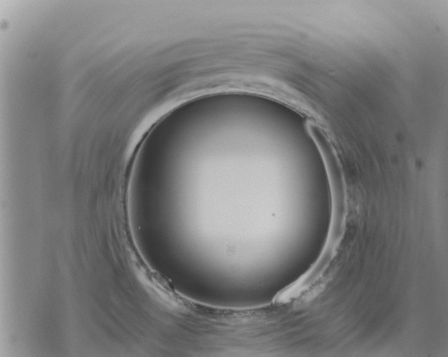 X0000071861530200607141802