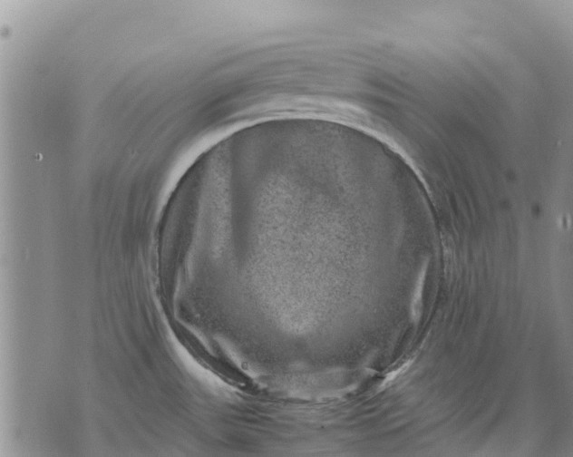 X0000071861531200607141802