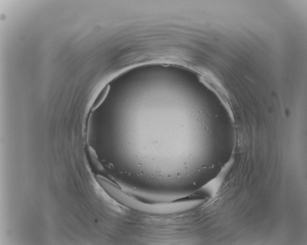 X0000071861532200607141802