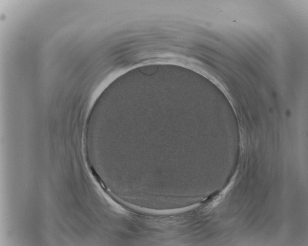 X0000071861533200607141802