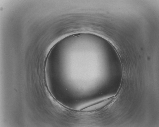 X0000071861534200607141802