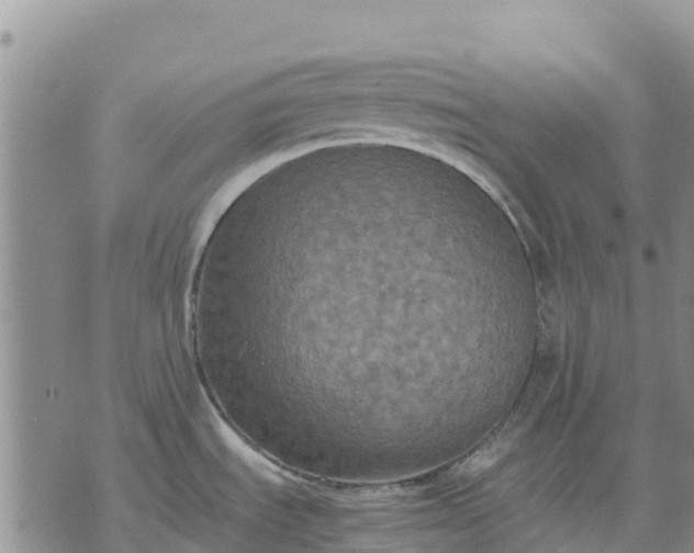 X0000071861535200607141802