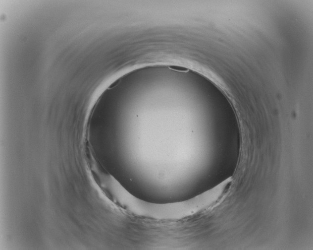 X0000071861536200607141802