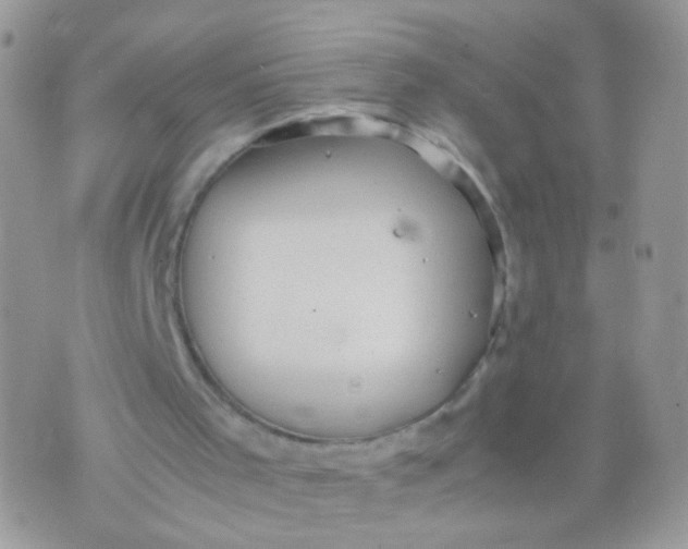 X0000071860001200607211929