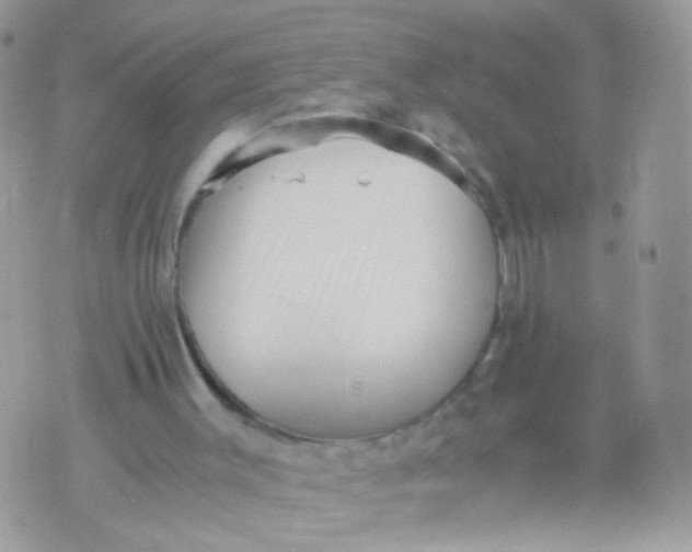 X0000071860003200607211929