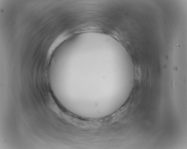 X0000071860004200607211929