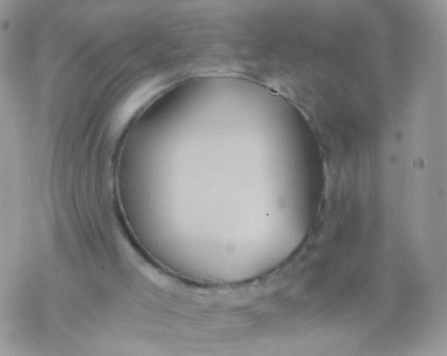 X0000071860005200607211929