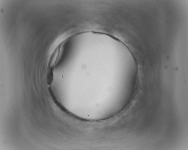 X0000071860007200607211929