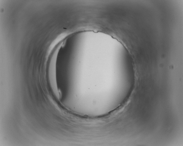 X0000071860008200607211929