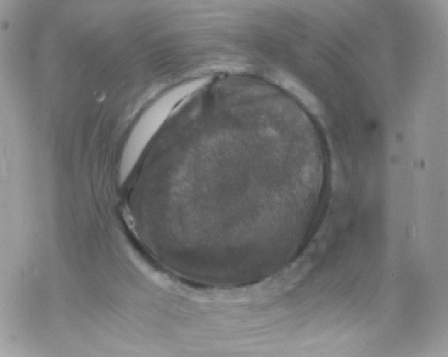 X0000071860009200607211929