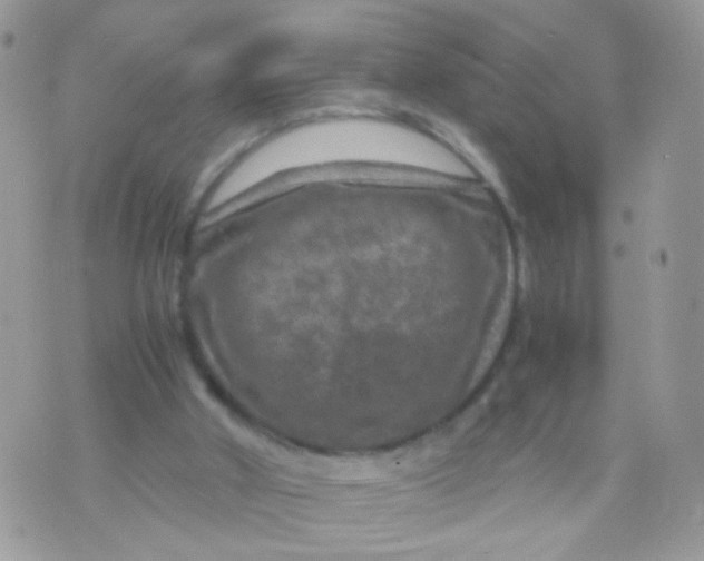 X0000071860010200607211929