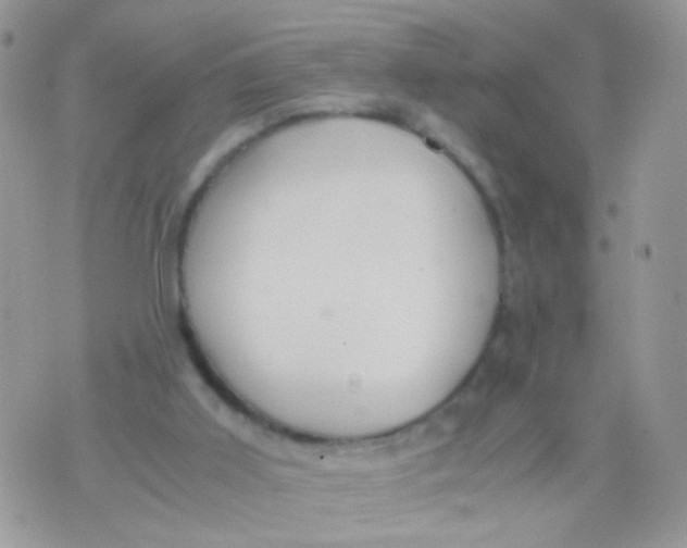 X0000071860011200607211929