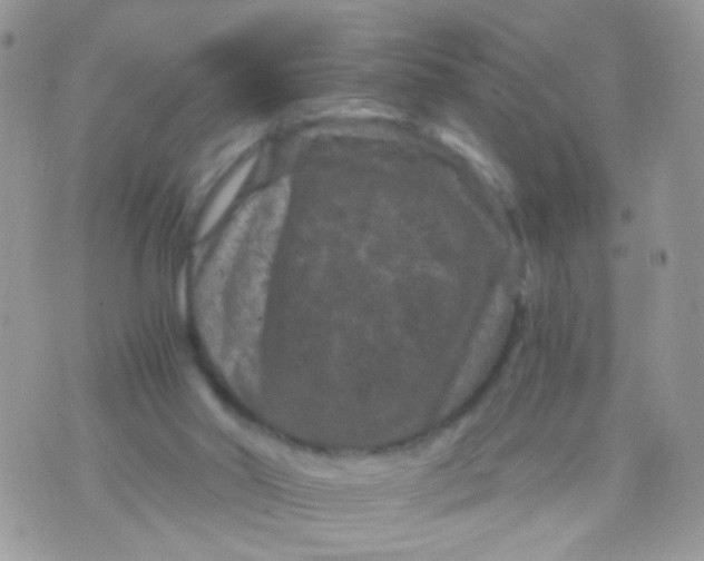 X0000071860014200607211929