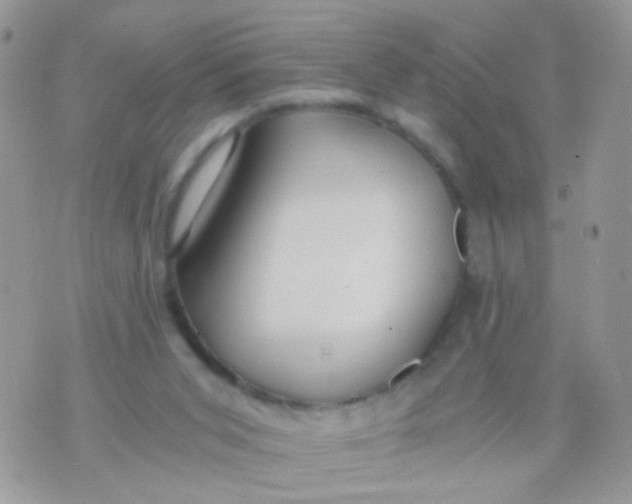 X0000071860015200607211929