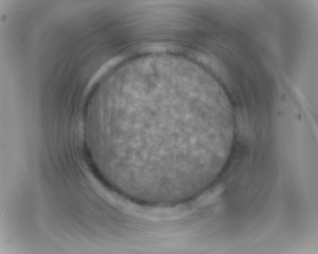 X0000071860016200607211929