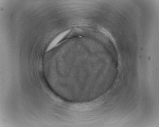 X0000071860017200607211929