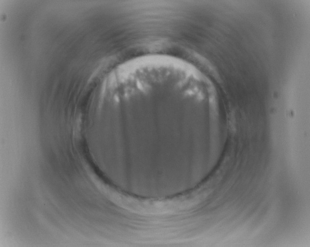 X0000071860018200607211929